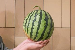 17度吃瓜事件,揭秘网络舆论背后的真相与反思