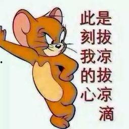 歪歪瓜怎么吃,解锁美味新体验